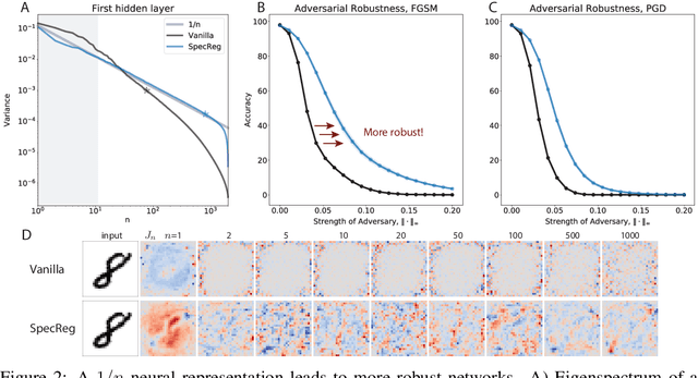 Figure 2 for On 1/n neural representation and robustness