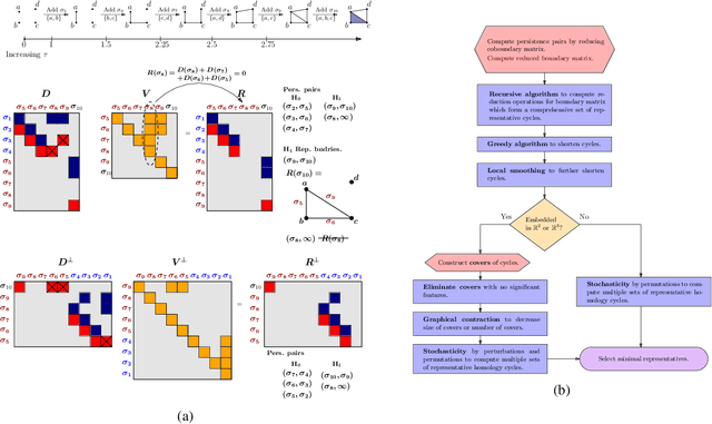 Figure 3 for Tight basis cycle representatives for persistent homology of large data sets