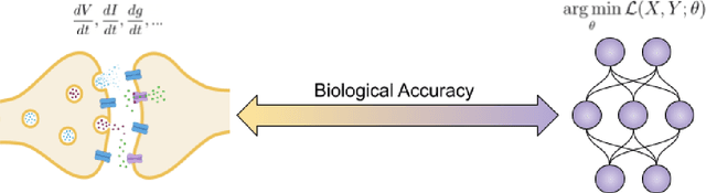 Figure 1 for Giving Up Control: Neurons as Reinforcement Learning Agents