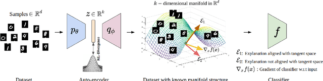 Figure 1 for The Manifold Hypothesis for Gradient-Based Explanations