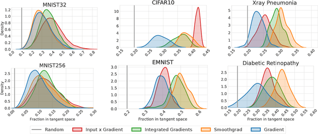 Figure 4 for The Manifold Hypothesis for Gradient-Based Explanations