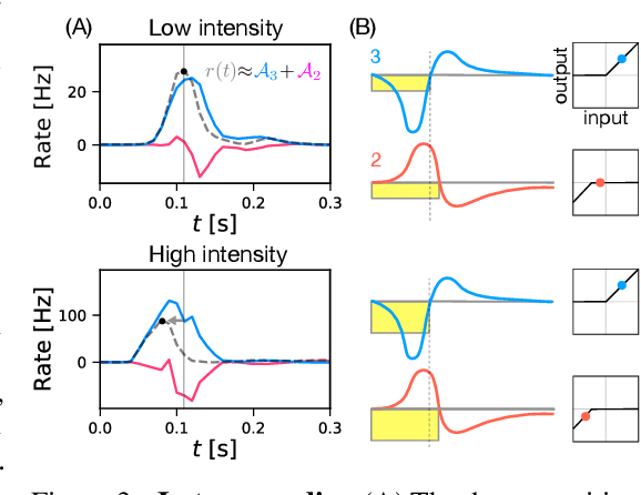 Figure 3 for From deep learning to mechanistic understanding in neuroscience: the structure of retinal prediction