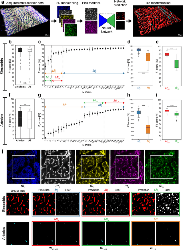 Figure 1 for Modality Attention and Sampling Enables Deep Learning with Heterogeneous Marker Combinations in Fluorescence Microscopy