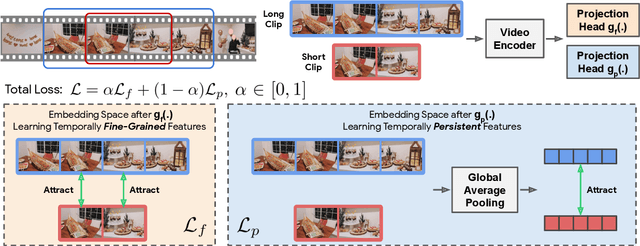 Figure 3 for Exploring Temporal Granularity in Self-Supervised Video Representation Learning