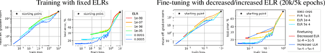 Figure 2 for Training Scale-Invariant Neural Networks on the Sphere Can Happen in Three Regimes