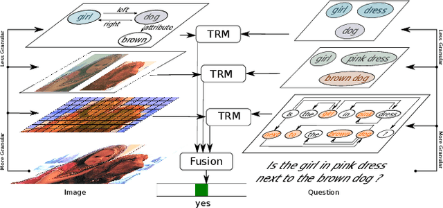 Figure 1 for MGA-VQA: Multi-Granularity Alignment for Visual Question Answering