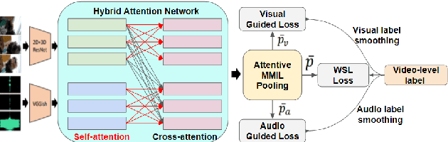 Figure 1 for Investigating Modality Bias in Audio Visual Video Parsing