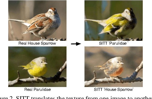 Figure 3 for Single Image Texture Translation for Data Augmentation