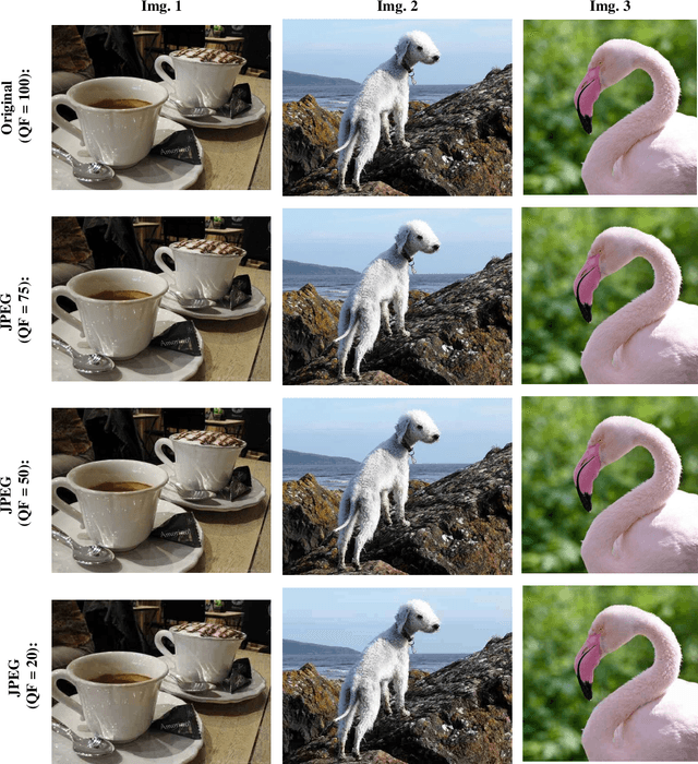 Figure 2 for Feature Distillation: DNN-Oriented JPEG Compression Against Adversarial Examples