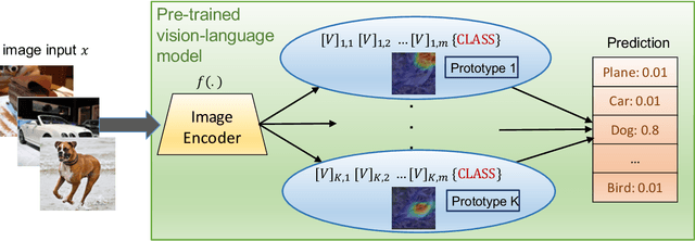 Figure 1 for Prompting through Prototype: A Prototype-based Prompt Learning on Pretrained Vision-Language Models