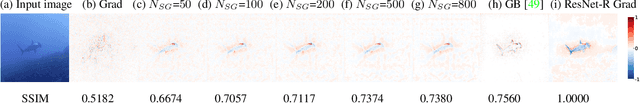 Figure 4 for SAM: The Sensitivity of Attribution Methods to Hyperparameters