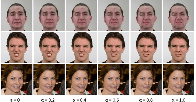Figure 4 for Animating Through Warping: an Efficient Method for High-Quality Facial Expression Animation