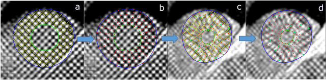 Figure 1 for Fully Automated Myocardial Strain Estimation from CMR Tagged Images using a Deep Learning Framework in the UK Biobank