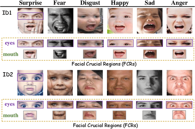 Figure 1 for Adaptively Lighting up Facial Expression Crucial Regions via Local Non-Local Joint Network