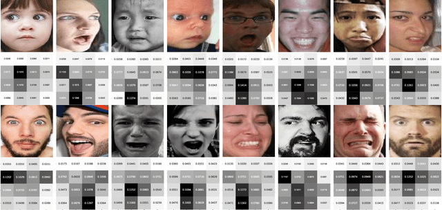 Figure 2 for Adaptively Lighting up Facial Expression Crucial Regions via Local Non-Local Joint Network