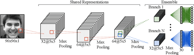 Figure 2 for An Ensemble with Shared Representations Based on Convolutional Networks for Continually Learning Facial Expressions