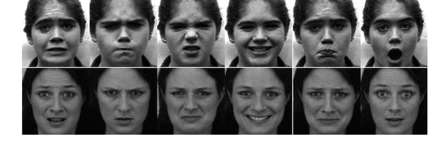 Figure 3 for An Ensemble with Shared Representations Based on Convolutional Networks for Continually Learning Facial Expressions