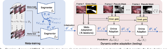 Figure 2 for One to Many: Adaptive Instrument Segmentation via Meta Learning and Dynamic Online Adaptation in Robotic Surgical Video