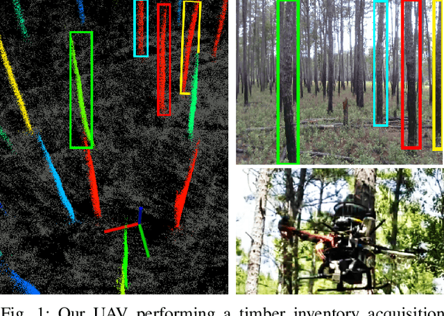 Figure 1 for SLOAM: Semantic Lidar Odometry and Mapping for Forest Inventory