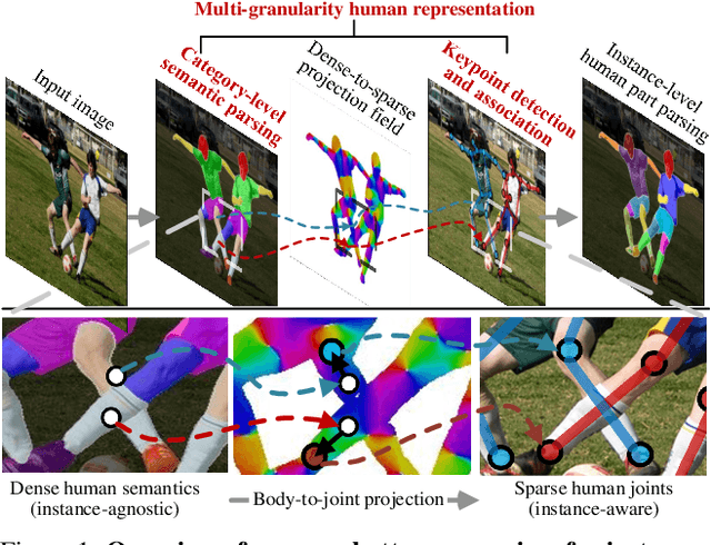 Figure 1 for Differentiable Multi-Granularity Human Representation Learning for Instance-Aware Human Semantic Parsing