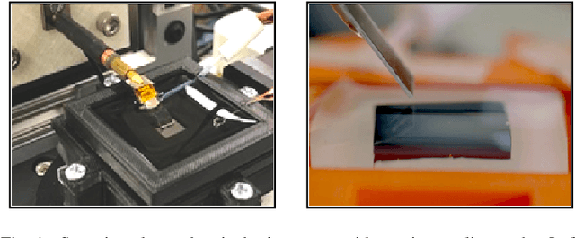 Figure 1 for Compressed Sensing Microscopy with Scanning Line Probes