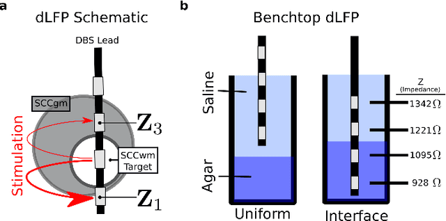 Figure 1 for Mitigating Mismatch Compression in Differential Local Field Potentials