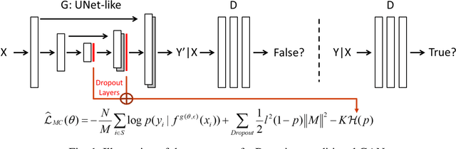 Figure 1 for Bayesian Conditional GAN for MRI Brain Image Synthesis