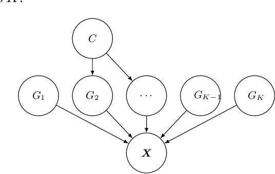 Figure 1 for Interventional Robustness of Deep Latent Variable Models