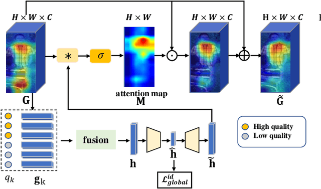 Figure 3 for Quality-aware Part Models for Occluded Person Re-identification