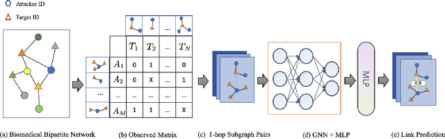 Figure 1 for Heterogeneous Graph based Deep Learning for Biomedical Network Link Prediction