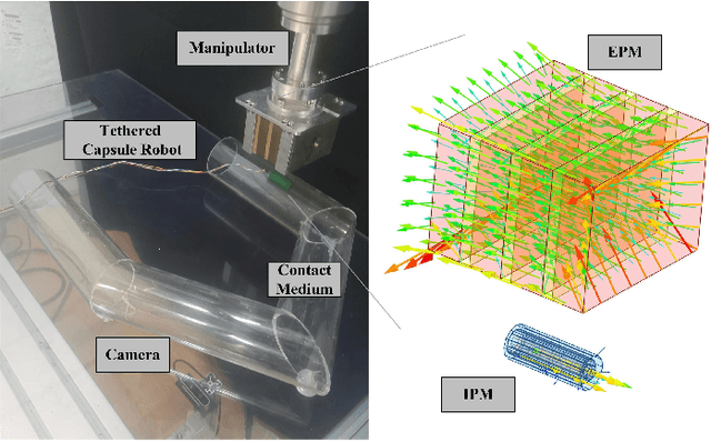 Figure 1 for Learning Friction Model for Magnet-actuated Tethered Capsule Robot