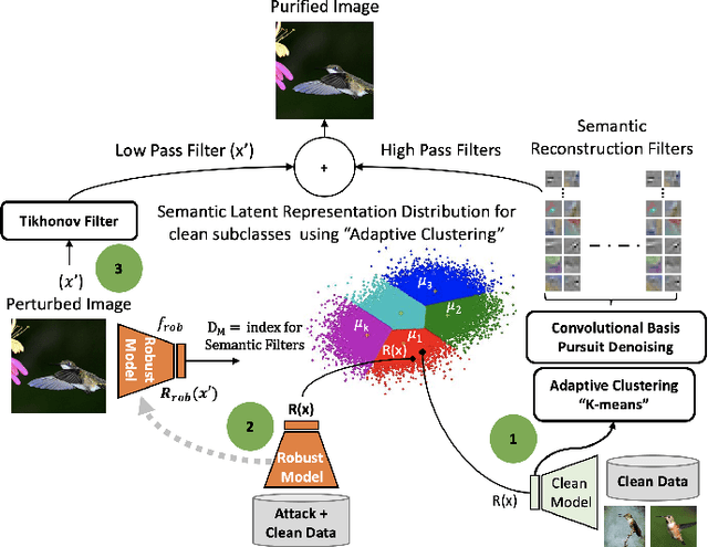 Figure 1 for Adaptive Clustering of Robust Semantic Representations for Adversarial Image Purification
