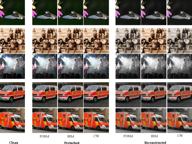 Figure 3 for Adaptive Clustering of Robust Semantic Representations for Adversarial Image Purification