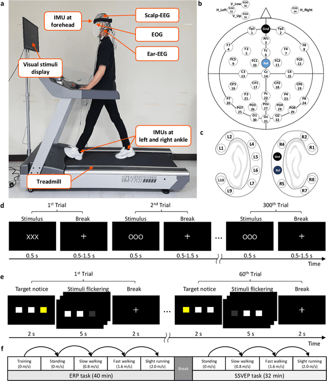 Figure 1 for Mobile BCI dataset of scalp- and ear-EEGs with ERP and SSVEP paradigms while standing, walking, and running