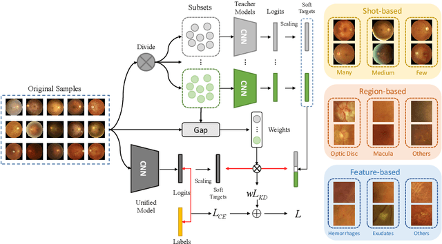 Figure 3 for Relational Subsets Knowledge Distillation for Long-tailed Retinal Diseases Recognition