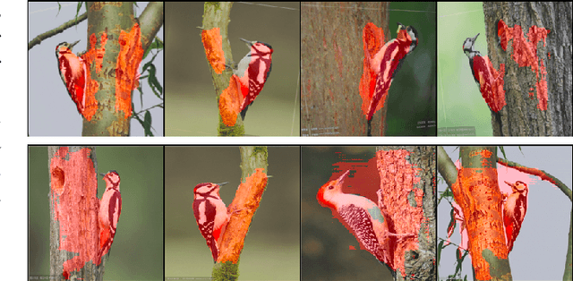 Figure 3 for Meta-DRN: Meta-Learning for 1-Shot Image Segmentation