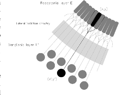 Figure 1 for A precortical module for robust CNNs to light variations