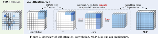 Figure 3 for MorphMLP: A Self-Attention Free, MLP-Like Backbone for Image and Video