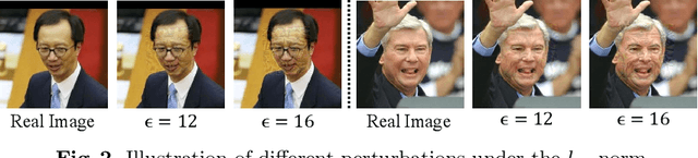 Figure 3 for Towards Privacy Protection by Generating Adversarial Identity Masks