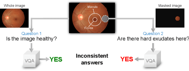 Figure 1 for Consistency-preserving Visual Question Answering in Medical Imaging