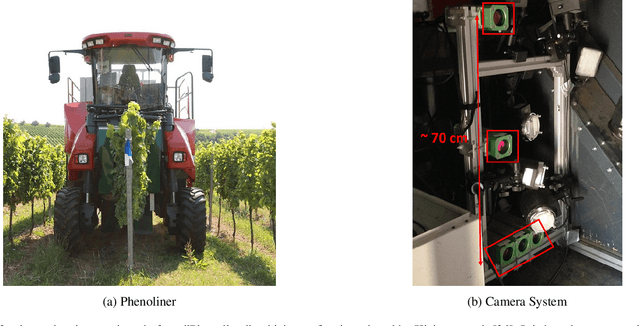 Figure 3 for Counting of Grapevine Berries in Images via Semantic Segmentation using Convolutional Neural Networks