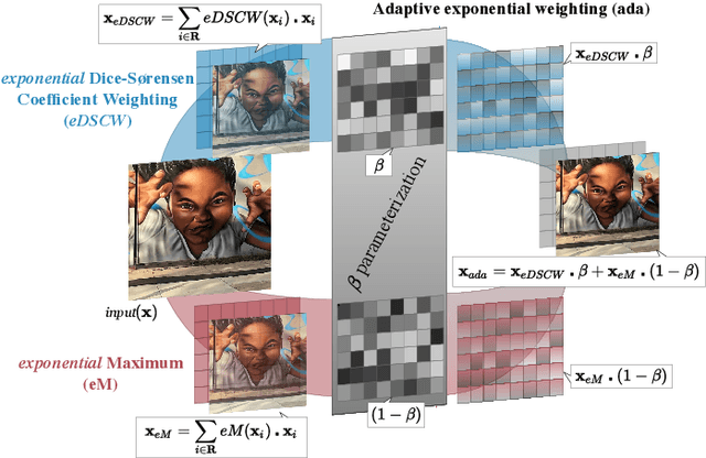 Figure 1 for AdaPool: Exponential Adaptive Pooling for Information-Retaining Downsampling