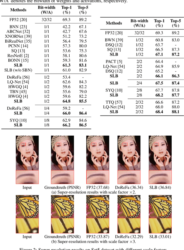 Figure 2 for Searching for Low-Bit Weights in Quantized Neural Networks
