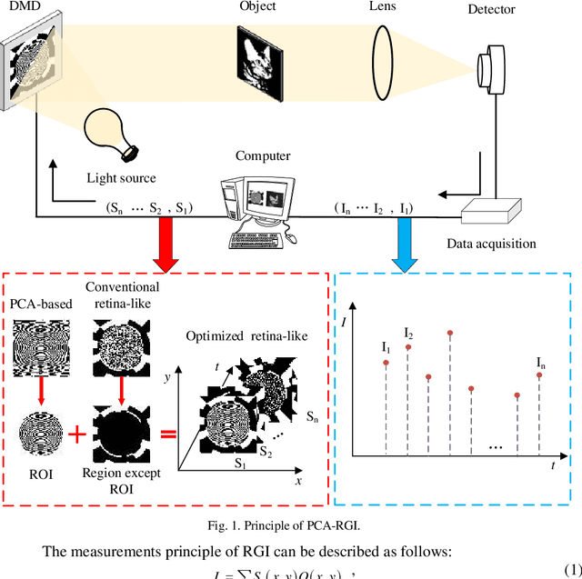 Figure 1 for Optimization of retina-like illumination patterns in ghost imaging