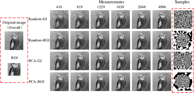 Figure 3 for Optimization of retina-like illumination patterns in ghost imaging