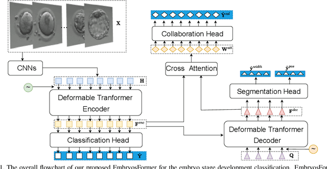 Figure 1 for EmbryosFormer: Deformable Transformer and Collaborative Encoding-Decoding for Embryos Stage Development Classification