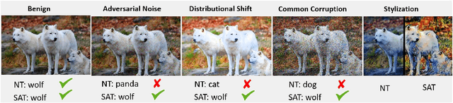 Figure 1 for Stylized Adversarial Defense