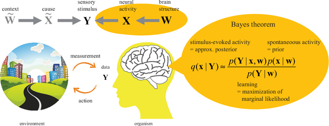 Figure 1 for The principles of adaptation in organisms and machines II: Thermodynamics of the Bayesian brain
