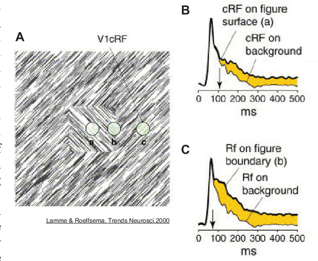 Figure 3 for The principles of adaptation in organisms and machines II: Thermodynamics of the Bayesian brain