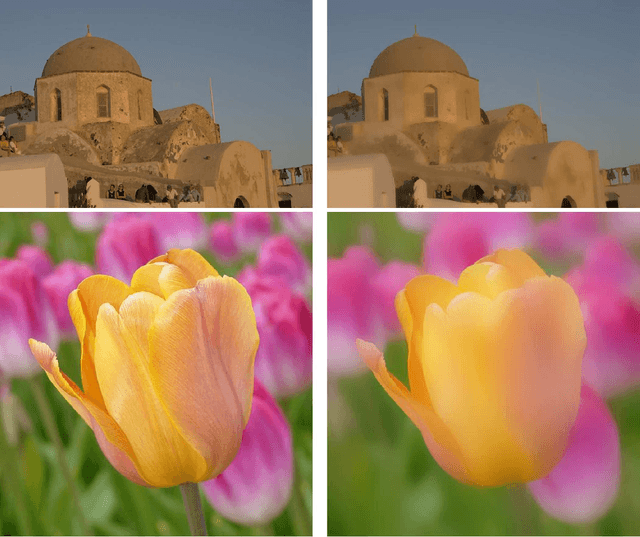 Figure 4 for Fast O(1) bilateral filtering using trigonometric range kernels